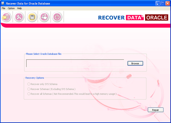 Repair Database - Oracle